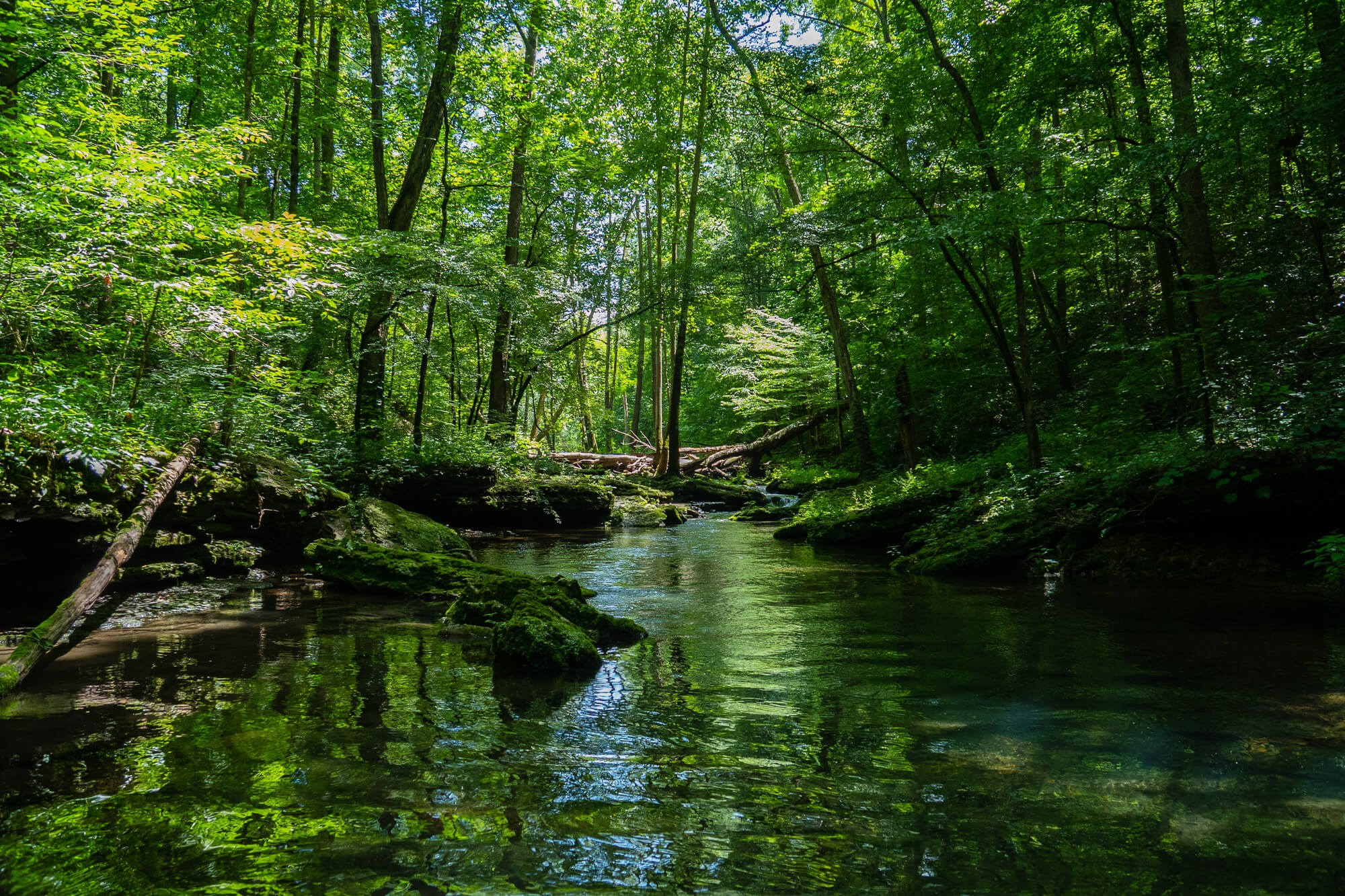 Entenda o Licenciamento Ambiental de forma simples