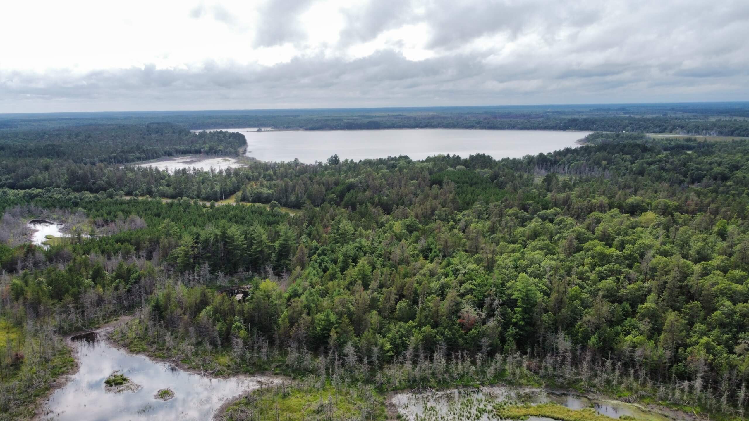 Entenda a estrutura básica do Licenciamento Ambiental
