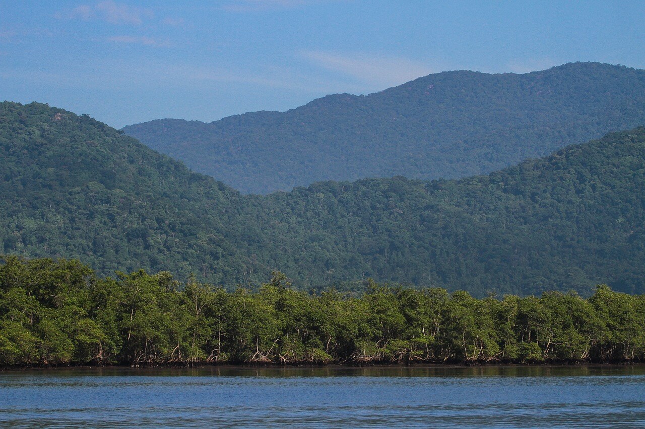 Desmatamento na Mata Atlântica: Uma Defesa Ambiental Eficiente