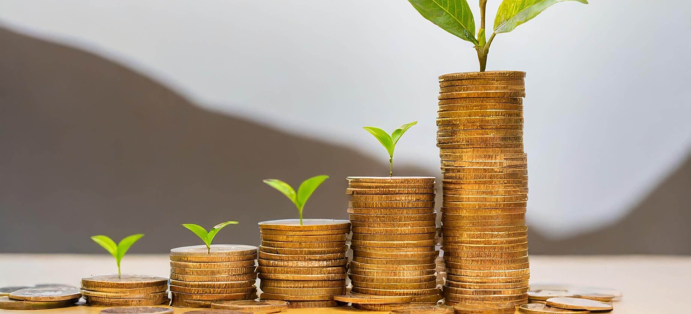 Compensação do Equilíbrio Econômico e Ambiental