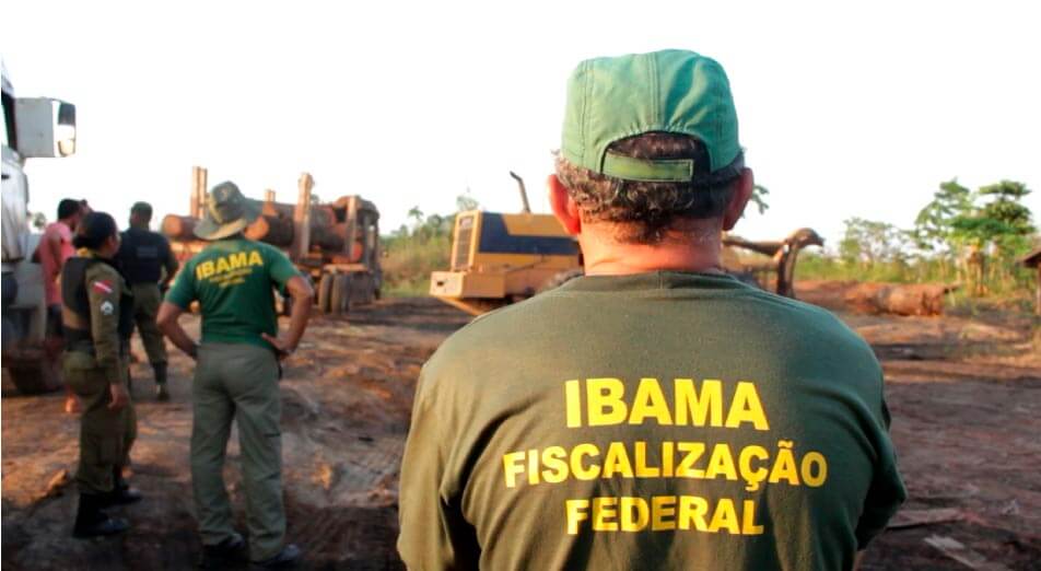 Circunstâncias Atenuantes em Infrações Ambientais: Entenda o que diz a Lei 9.605/98