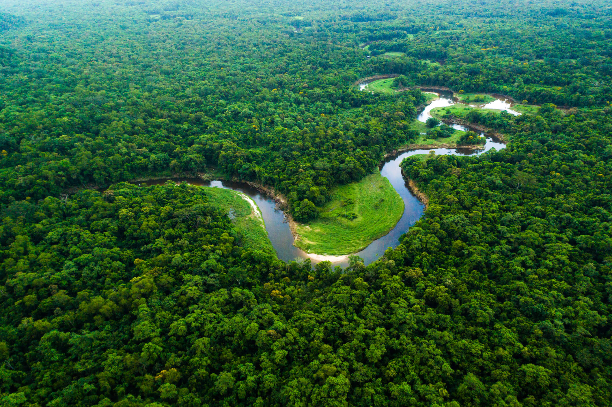Descaracterização do Dano Moral Ambiental: Um Feito Jurídico Notável nas Ações Civis Públicas da Amazônia
