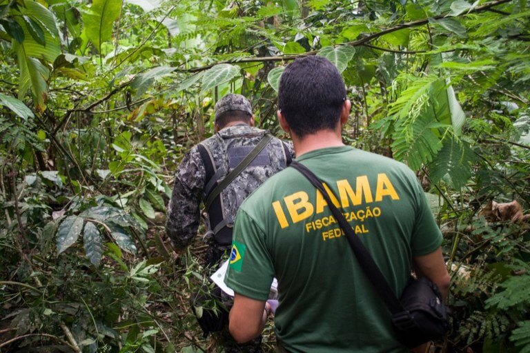 Ibama promove III Fórum de PRADs e reforça debate sobre recuperação de áreas degradadas