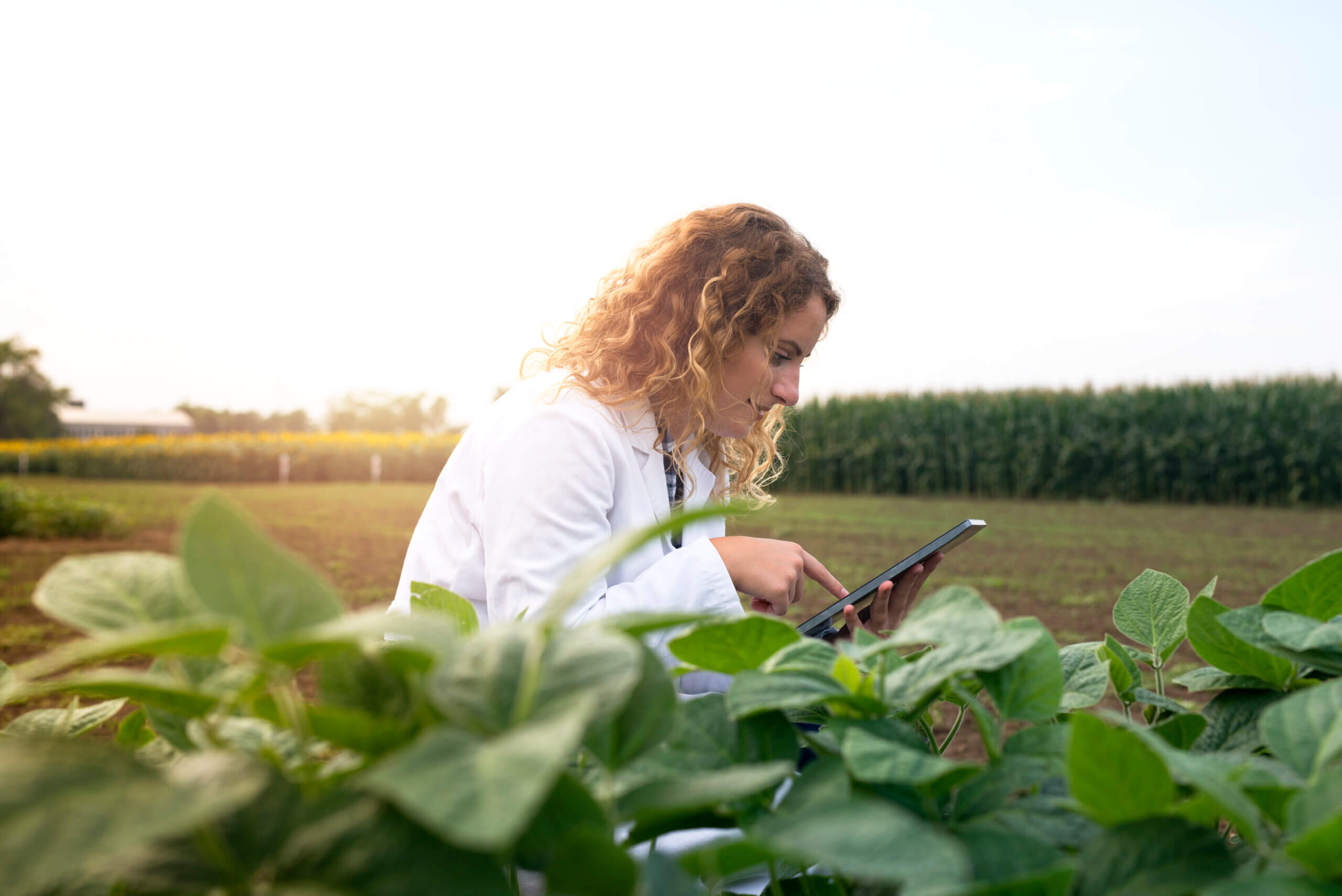 O Futuro do Agronegócio em 2025: Tecnologia, Sustentabilidade e Oportunidades para Produtores e Empresas