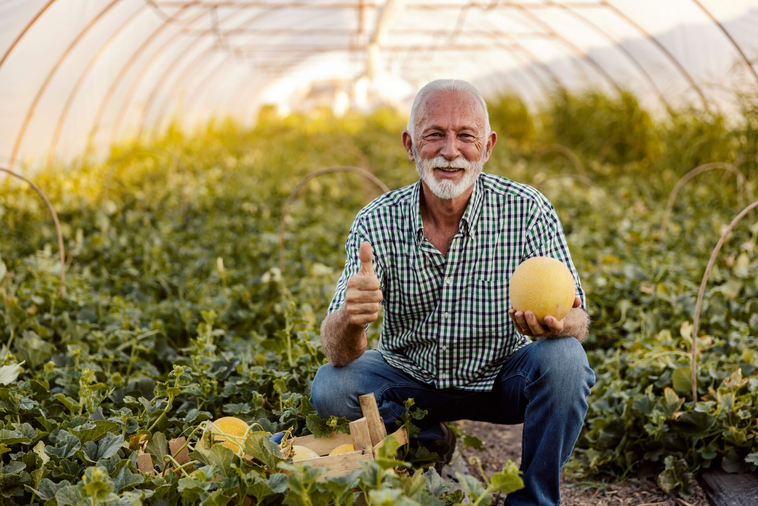 Restaurar Vegetação Nativa Pode Impulsionar Agricultura Paulista e Gerar Ganhos Bilionários