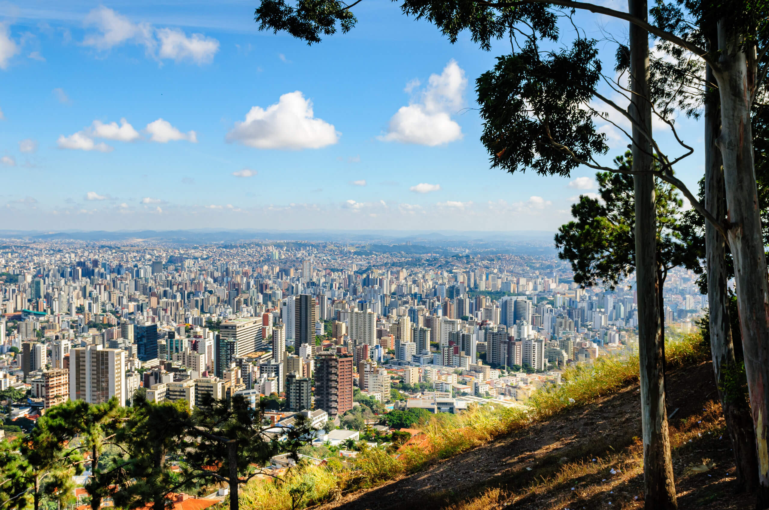 STF mantém decisão que obriga São Paulo a detalhar gastos com proteção ambiental