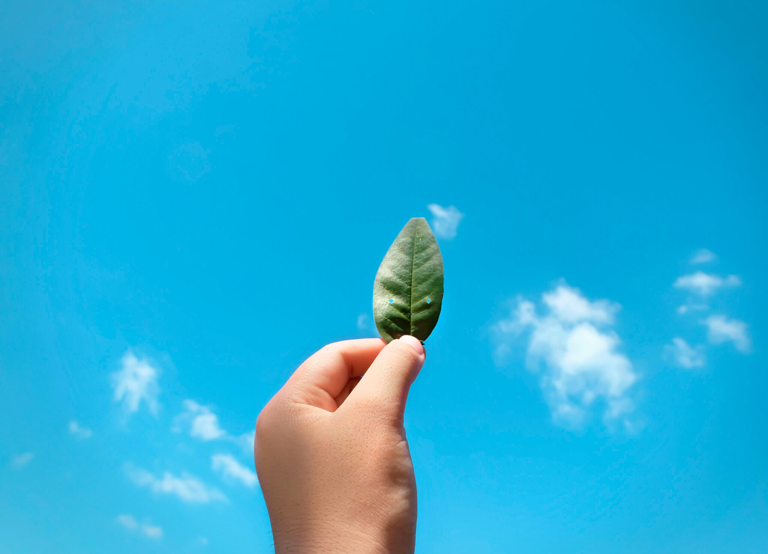 Como me Defender em um Inquérito Policial Ambiental?