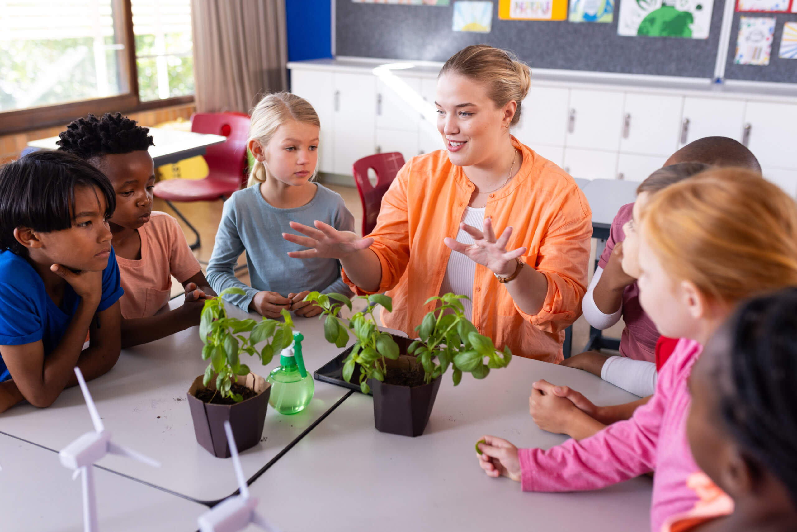 Câmara debate nova Lei de Educação Ambiental e seus impactos