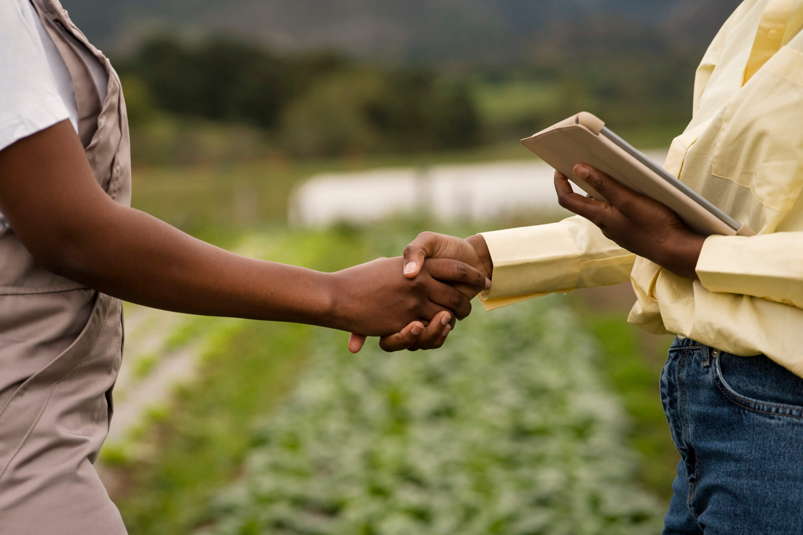 Licenciamento Rural 2025: O Que Mudou e Como se Adequar