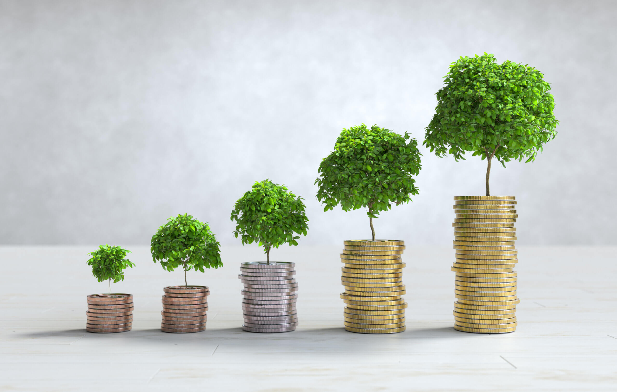 Santa Catarina Amplia Investimentos nos Programas de Apoio ao Produtor Rural em 2025