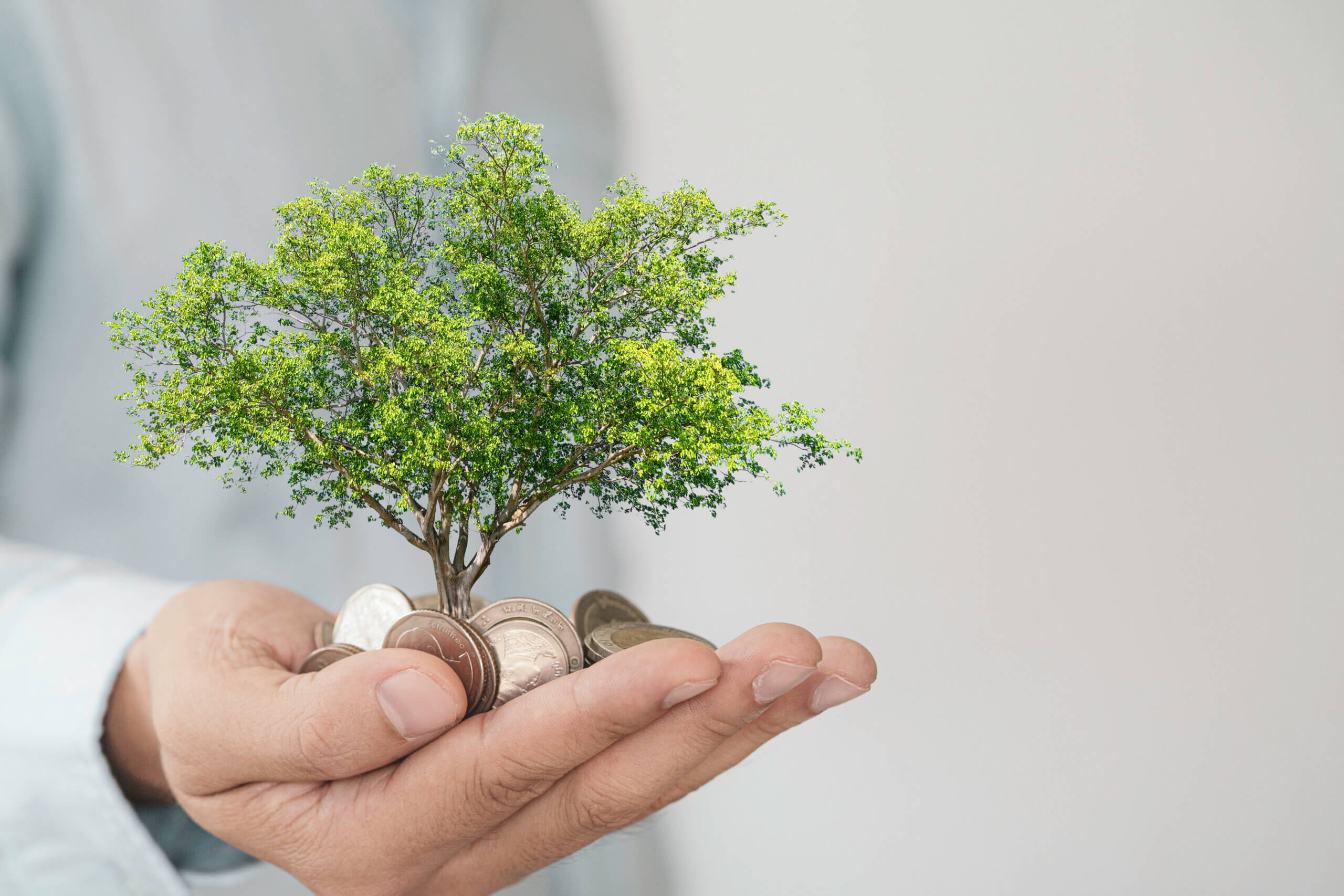 MPF e MPPA Recomendam Anulação Urgente de Contrato de Créditos de Carbono Firmado pelo Governo do Pará
