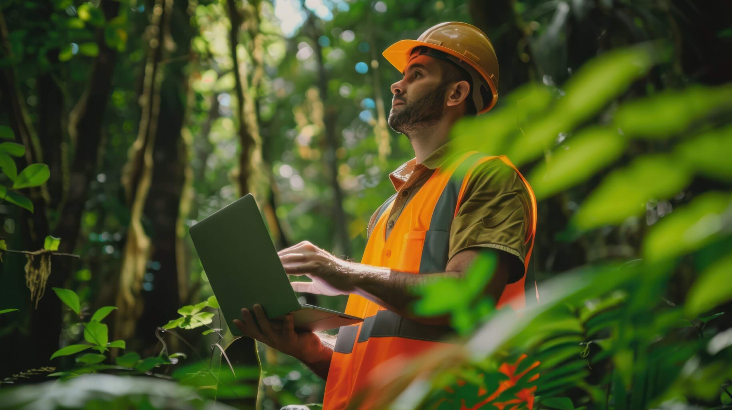 Evite Multas e Embargos com Defesa Ambiental Técnica