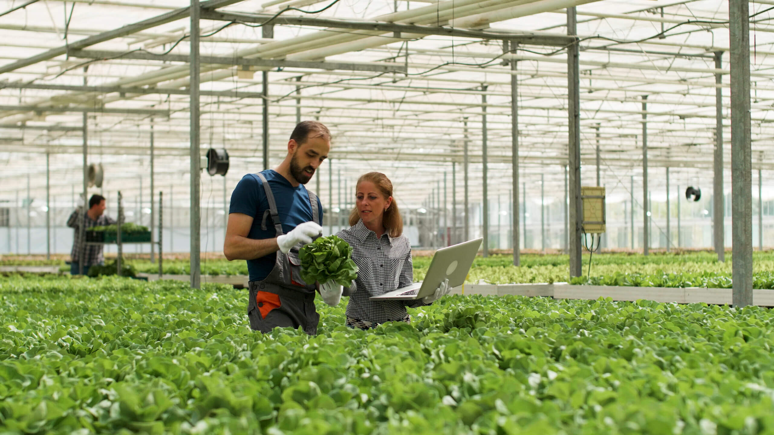 Tecnologia no Campo: Agricultura 4.0 e Conformidade Ambiental