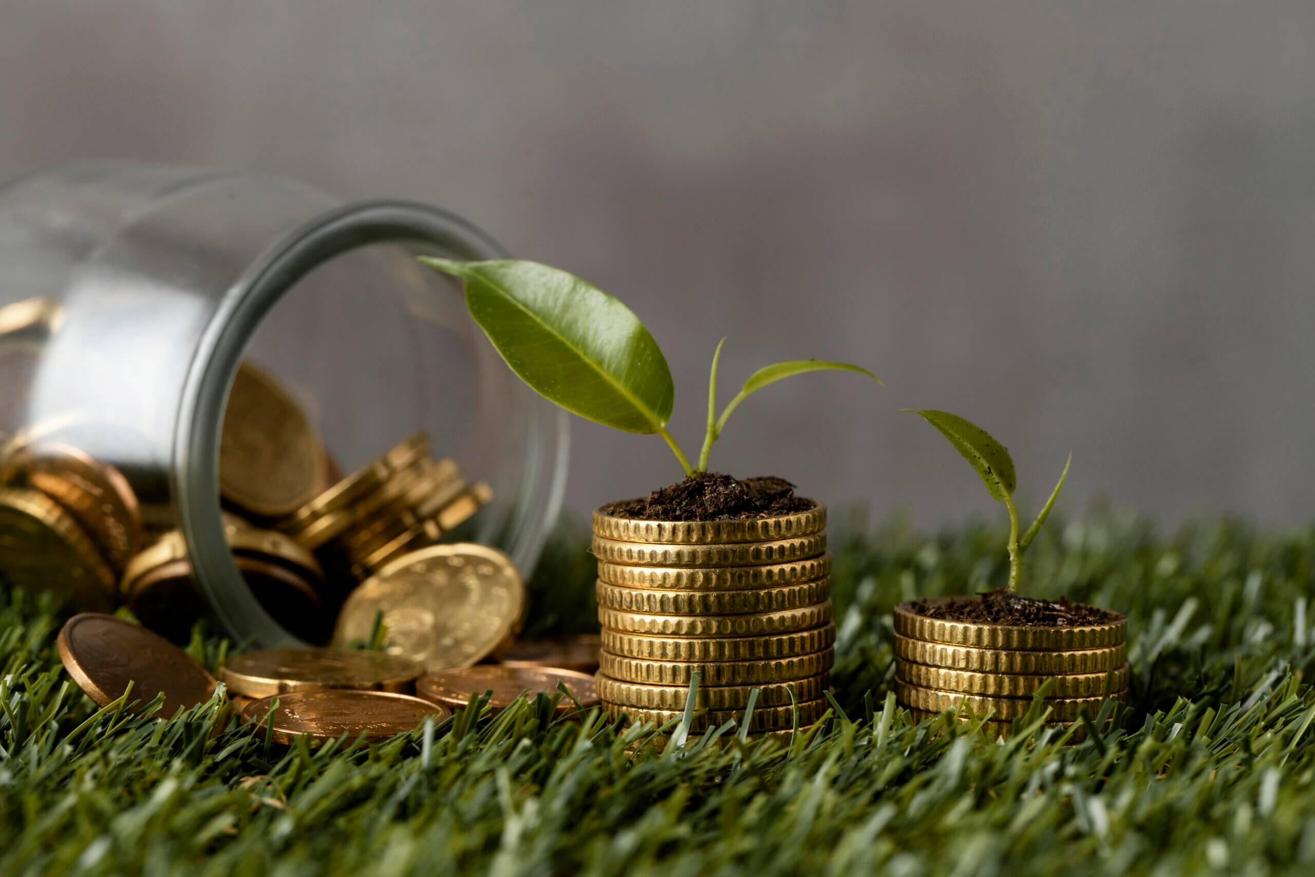 Economia Sustentável Ganha Espaço nas Estratégias Empresariais e Impacta o Setor Produtivo