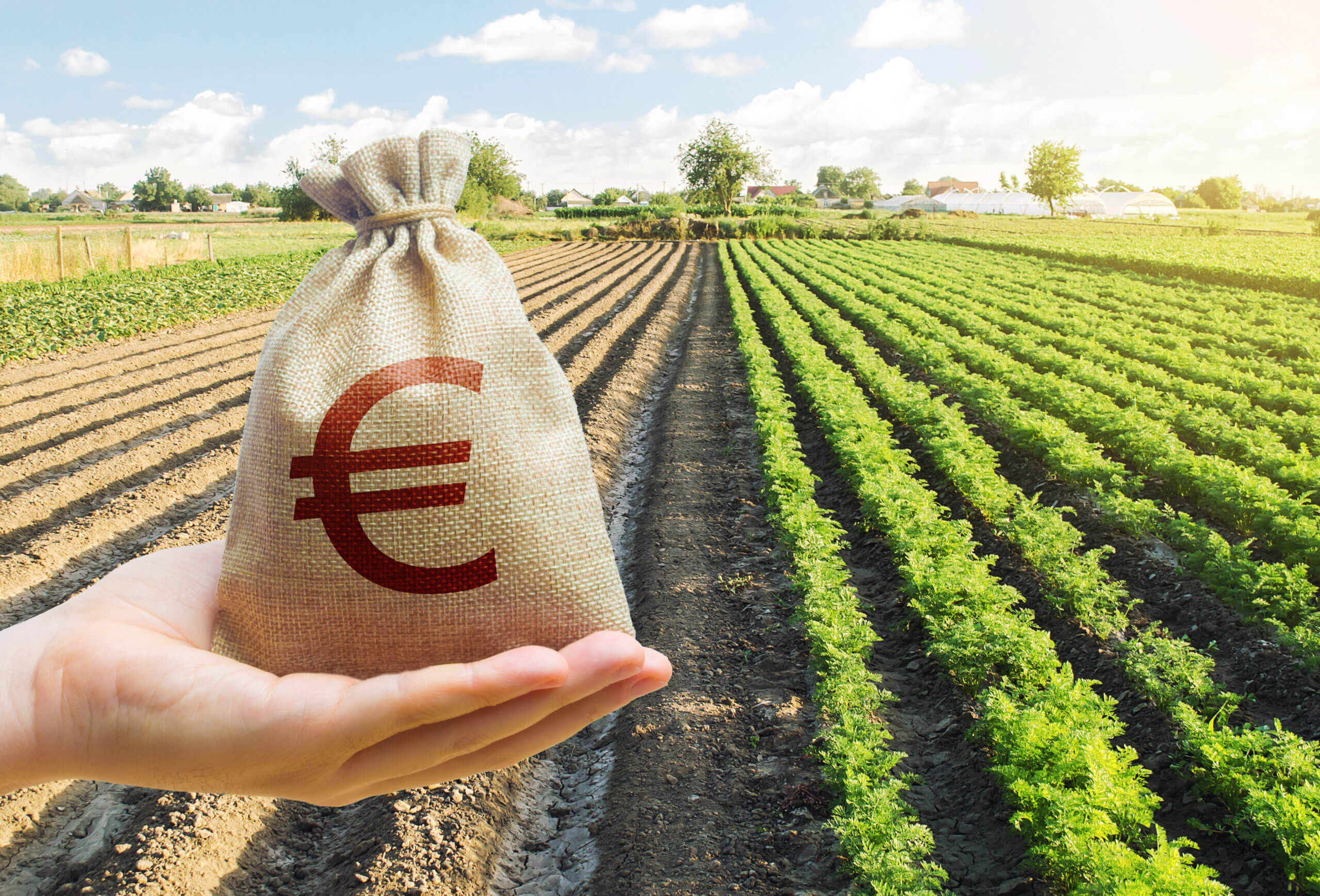 Crédito Rural, EUDR e Agronegócio: por que pequenas, médias e grandes empresas precisam de advogados experientes antes que o risco vire prejuízo
