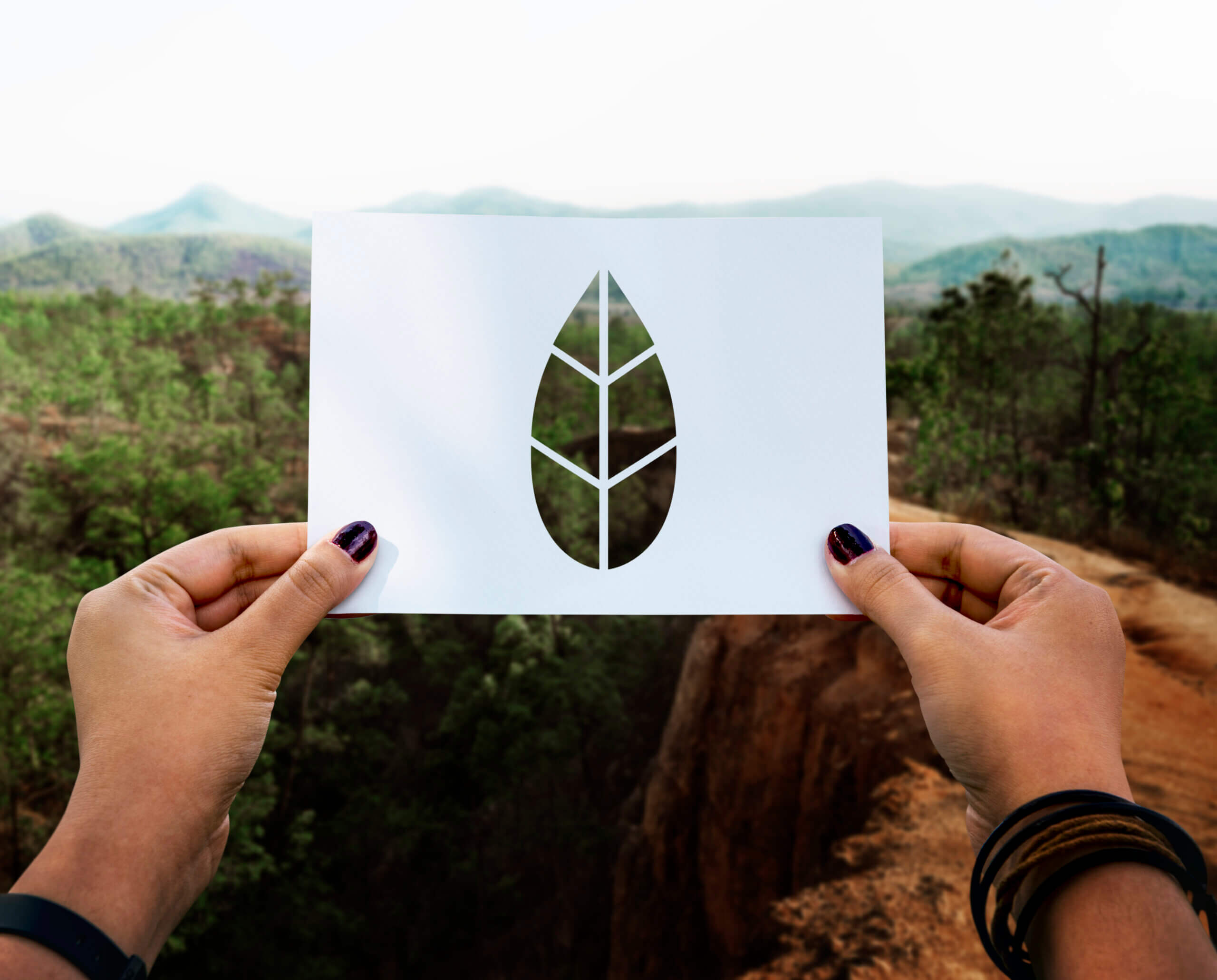 Código Florestal e Danos Ambientais Complexos: por que a atuação especializada é decisiva