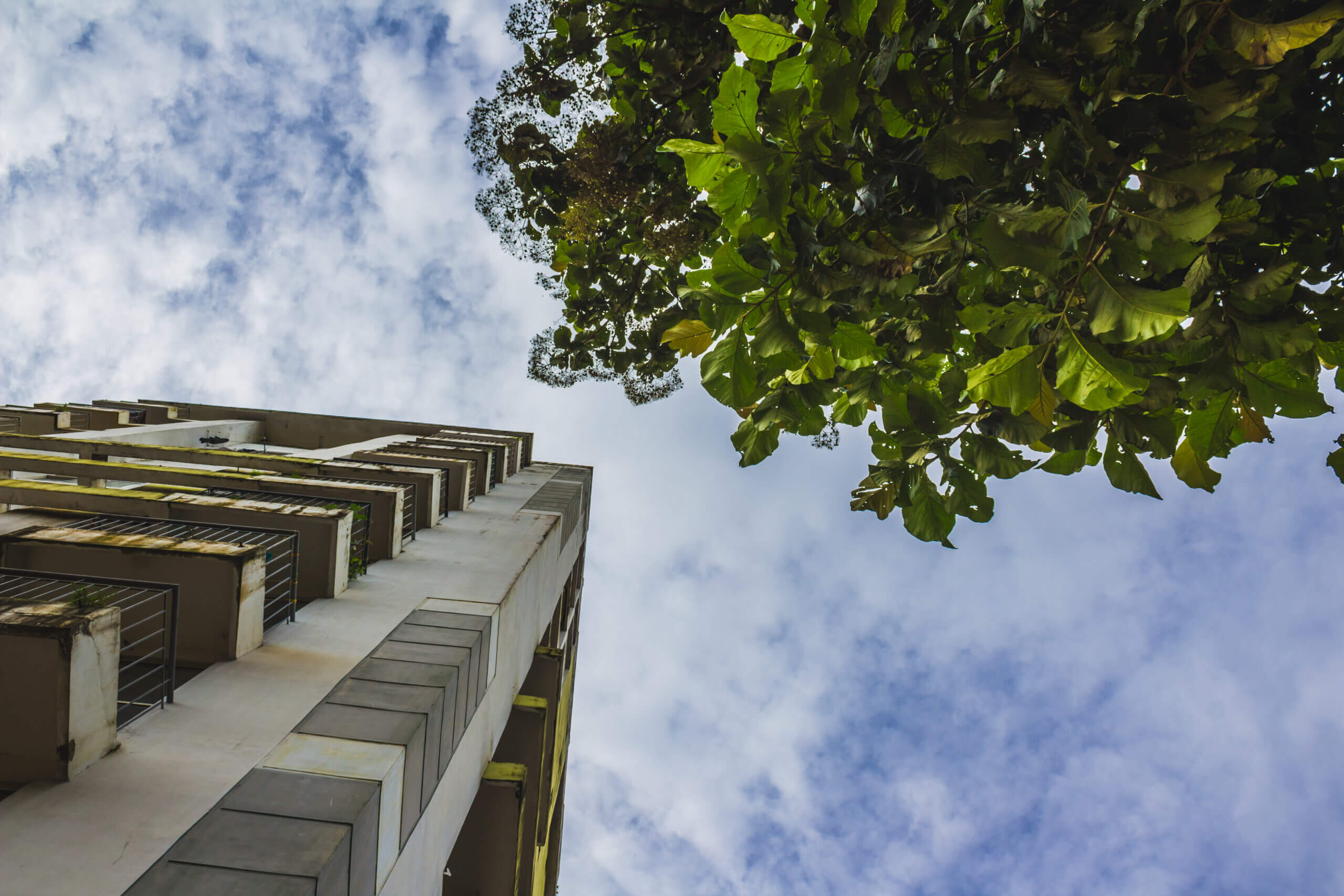 A Importância da Consultoria Ambiental na Construção Civil: Como Proteger Seu Empreendimento
